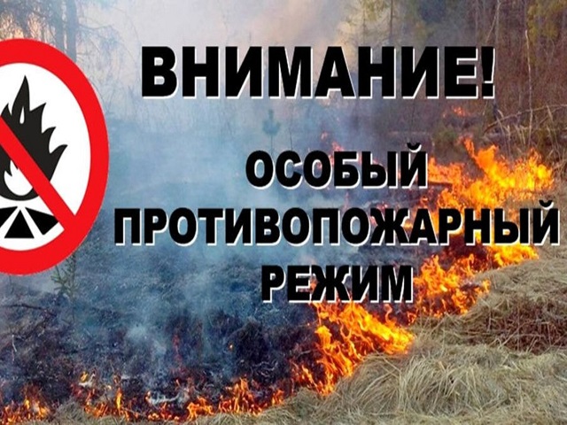 p9fvn1sl3xcdjupa0dwbdh1wrsn3diim