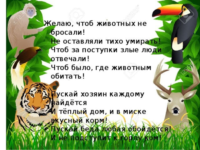 zver202110 2