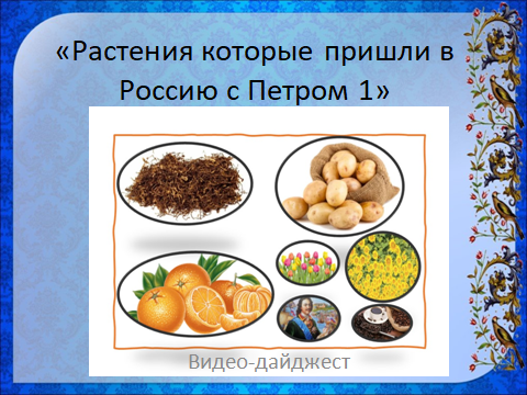 petr20220516 1