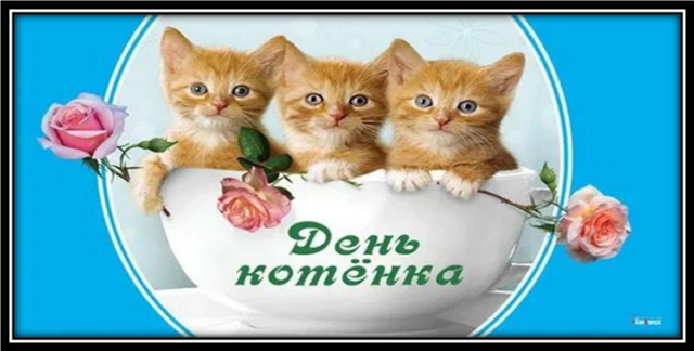 prot 094439 1
