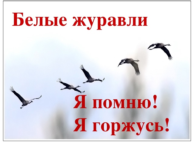 jyrav20221021 1